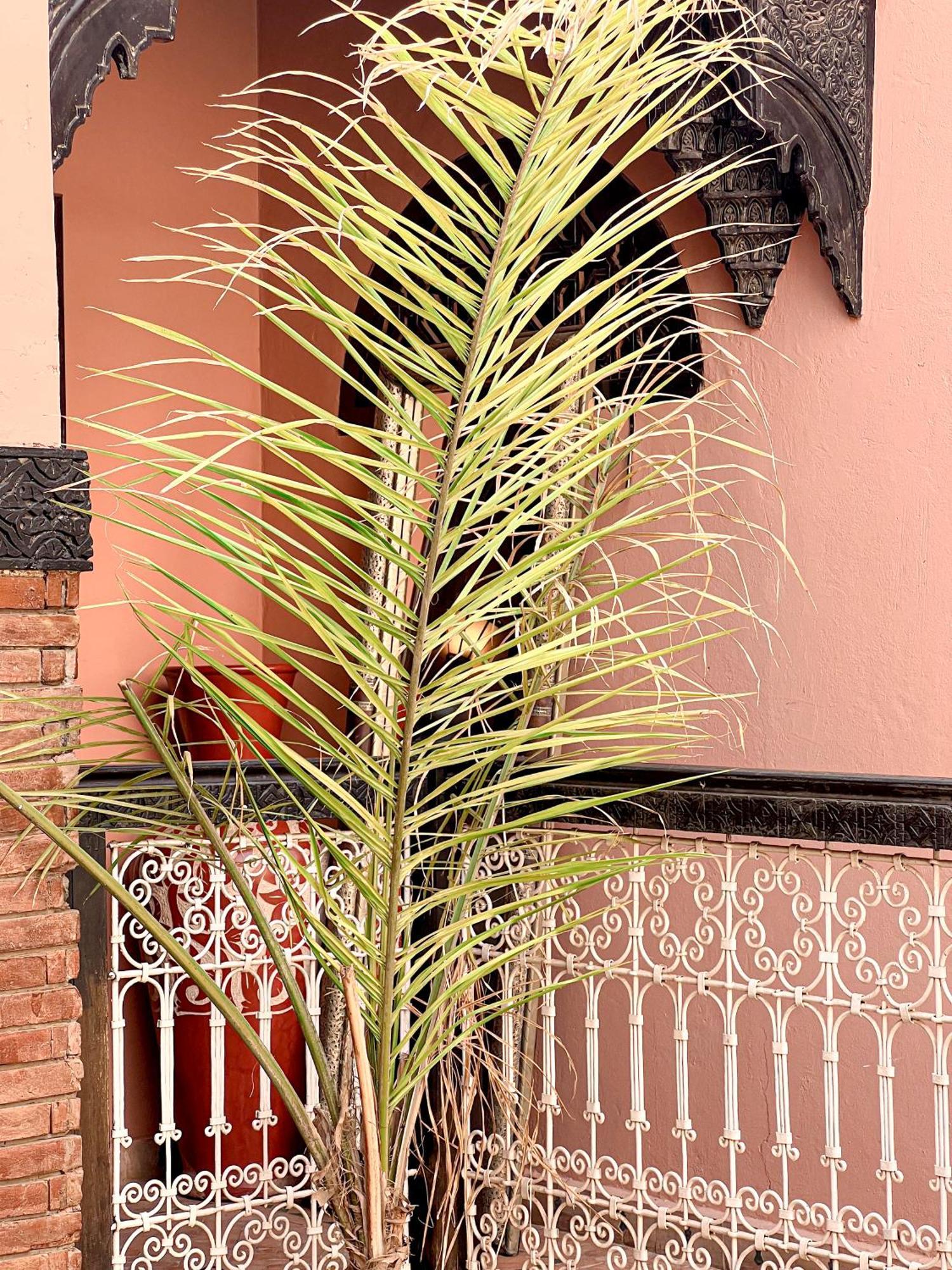 Hotel Riad Musa Marrakesh Habitación foto